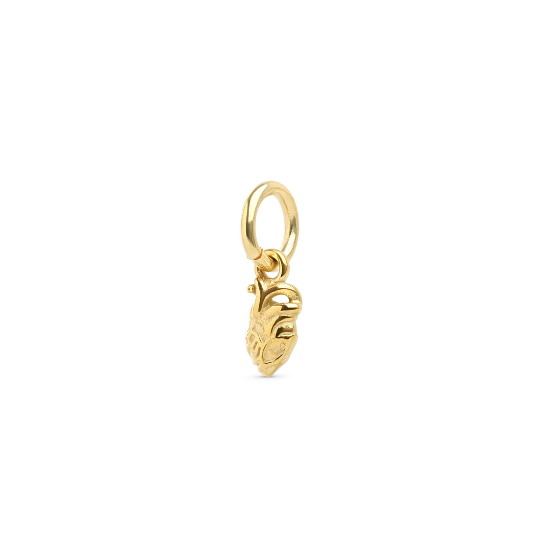 Zeo - Anatomisk Heart Charm Rustfritt Stål