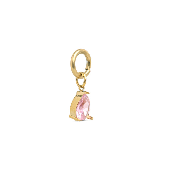 Wren - Crystal Charm rustfritt stål