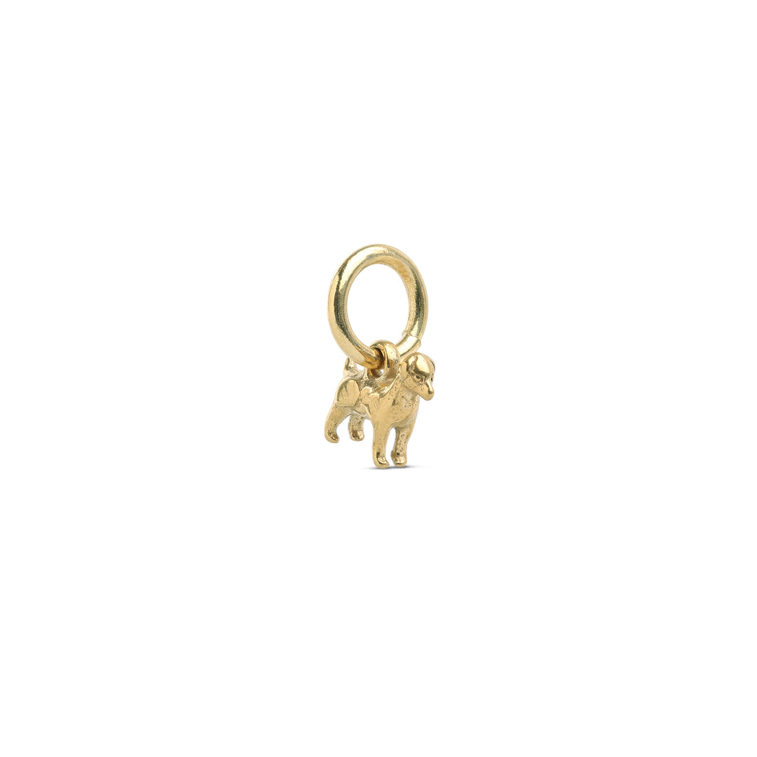 Roya - Dog Charm Rustfritt Stål